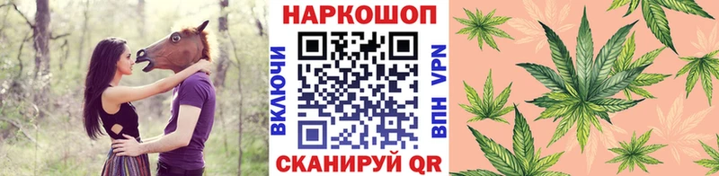 Наркошоп купить ГАШ  Канабис  Галлюциногенные грибы  Мефедрон  Альфа ПВП  Красный Сулин
