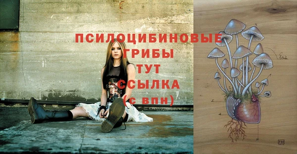 круглые Козловка