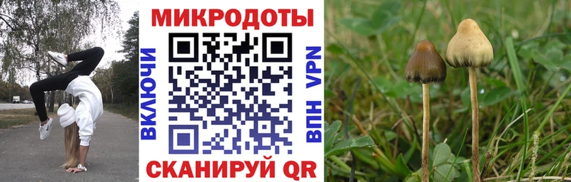 Купить  Красный Сулин  Псилоцибиновые грибы мухоморы 